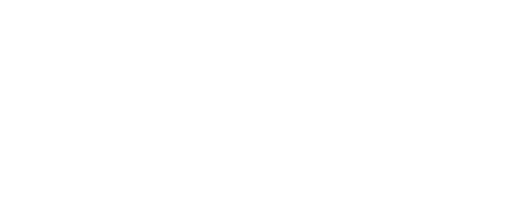 X MOTO